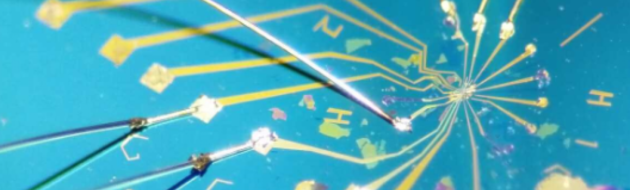 Wirebonded device on chip